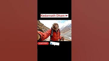 Kedarnath dham 🚩|| My Frist Vlog || #shorts #trending #monkeyvlogs