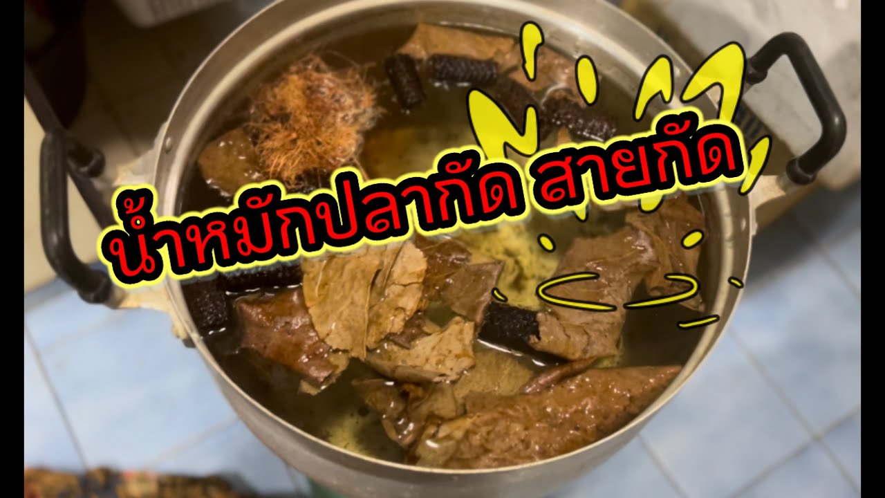 น้ำหมักปลากัดสายกัด เคล็ด(ไม่)ลับ