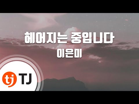[TJ노래방 / 멜로디제거] 헤어지는중입니다 - 이은미 / TJ Karaoke