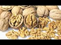 अखरोट तोड़ने का इतना आसान तरीका देखकर दंग रह जायेंगे | Easy way to open a walnut shell | Crack Akhrot