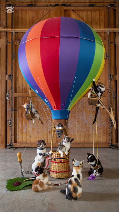 cats making air balloon #cats #shortvideo #shortsfeed #trendingshorts #cartoon