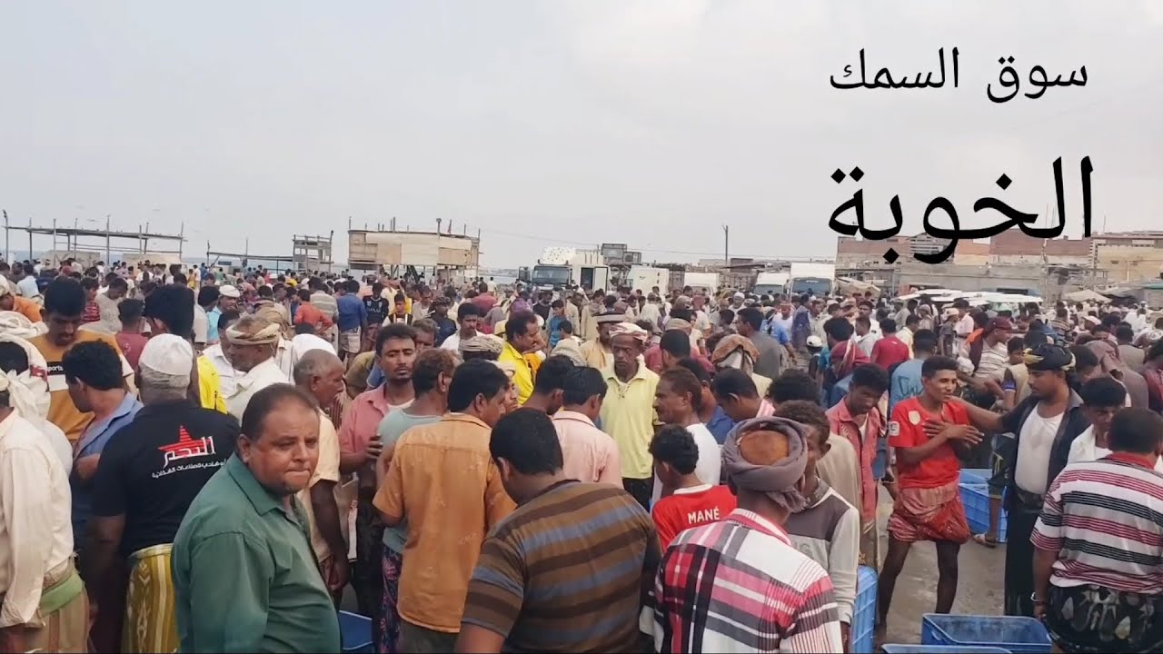 سوق السمك مدينة الخوبة/  2025/9/26 يوم الجمعه