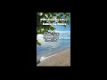 рџЊ PROVINCE LIFE EMBRACING NATURE THE GALIDO FARM Provincelife Nature Beachfront Dinagatisland рџЊ PROVINCE LIFE EMBRACING NATURE THE GALIDO FARM Provincelife Nature Beachfront Dinagatisland