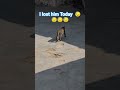 Lost Him #remix #ringtone #music #trending #cat #shortvideo #lifeisbutadream #shorts #shortsfeed