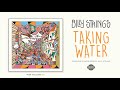 Billy strings  taking water official audio
