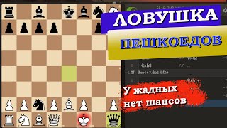 Ловушка против пешкоедов. Жадный игрок получает МАТ ПРИ ЛЮБЫХ РАСКЛАДАХ !!! шахматы   Болгария