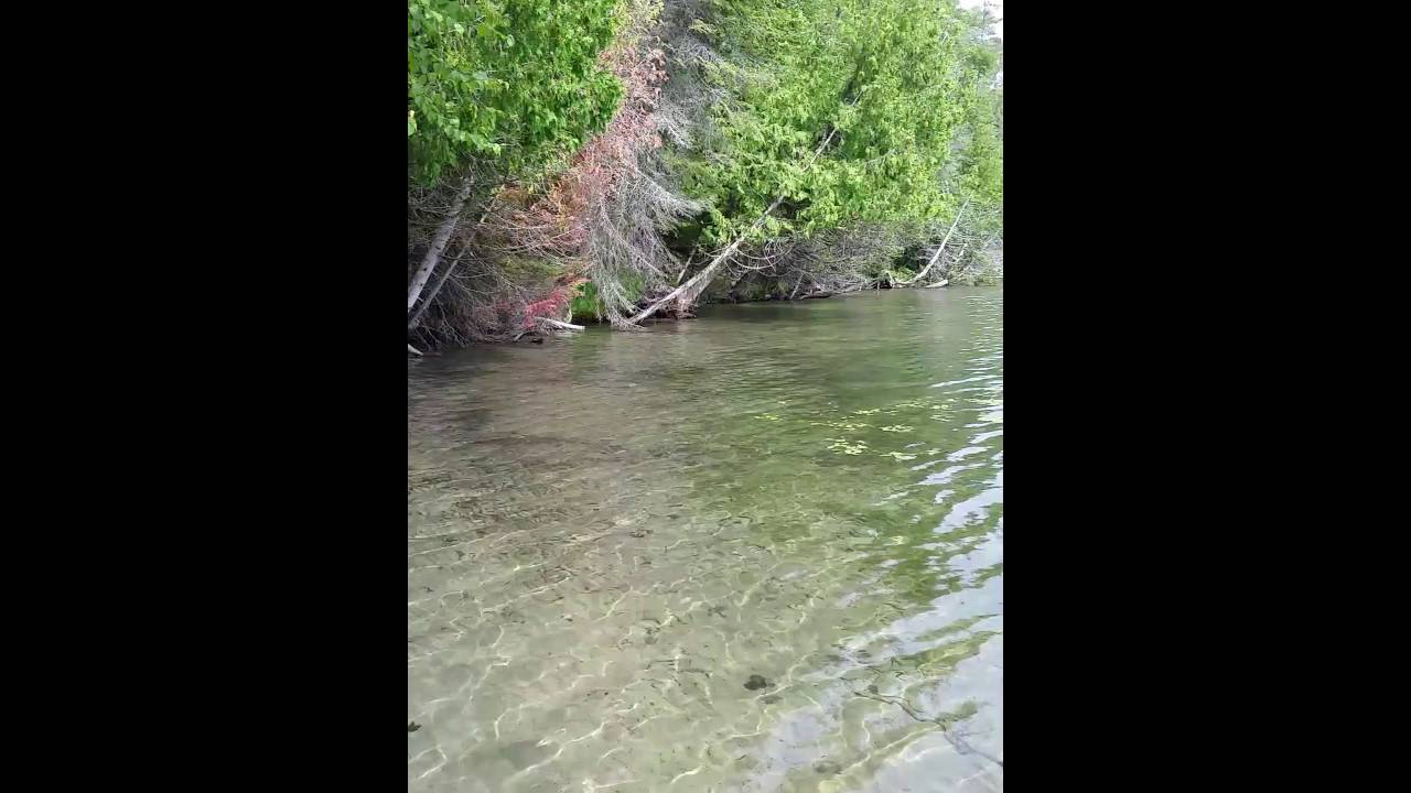 Blue Sea Quebec Video1 YouTube