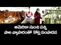 Absolute milk dairy farm  women entrepreneur deepya reddy  v6 life