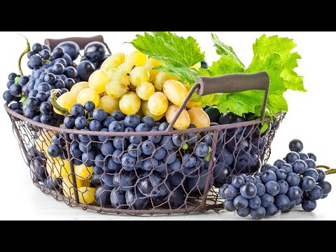 КИШМИШ - виноград без косточек ! В чём его польза и почему чёрный кишмиш лучше белого