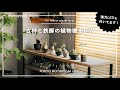 TOKYO BOTANICAL LIFE - vol.2 古材と鉄足でLED付き植物用ラックをDIY