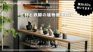 TOKYO BOTANICAL LIFE - vol.2 古材と鉄足でLED付き植物用ラックをDIY