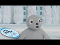 The Adventures Of Pingu & Robby! @Pingu - Official Channel