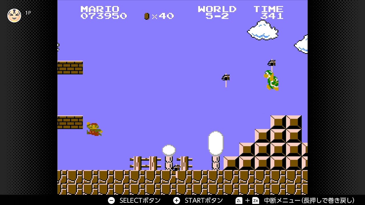 I didn't know Hammer Bros were this strong [Super Mario Bros
