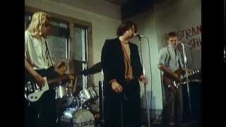 Video thumbnail of "The Saints - (I'm) Stranded (1976)"