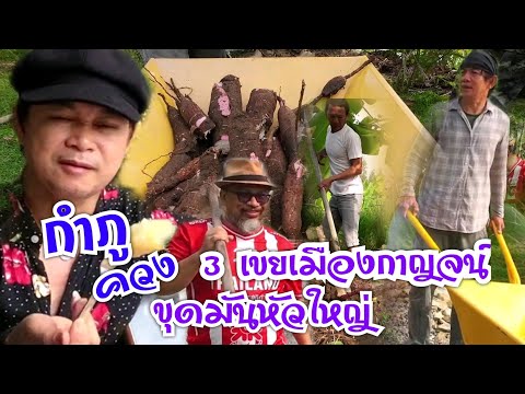 ฝันว่าได้ รถใหม่