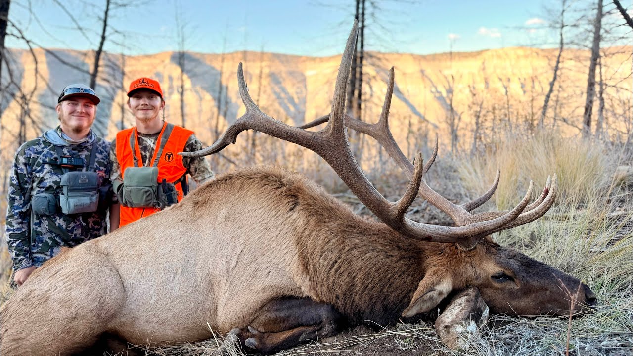 | 2025 Colorado Public land Elk hunt | 