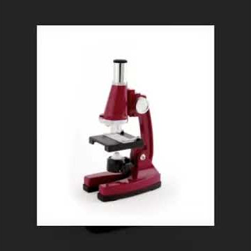 Mikroskop microscope