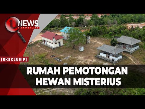 MUBAZIR, PEMKOT TANJUNGPINANG BANGUN RPH DI DALAM HUTAN  | U-NEWS REPORTASE #eps127