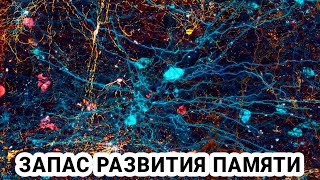 Игры на развитие устойчивости внимания screenshot 3