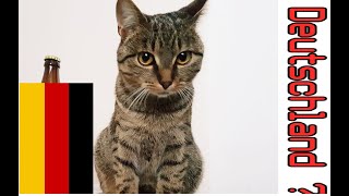 Moving To Germany ? Vici In Deutschland ?