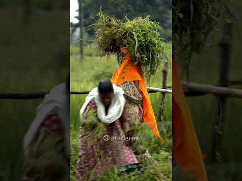 Tribal India’s Water