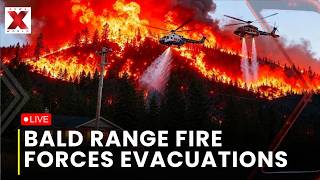 Penticton Wildfire Crisis Live : Bald Range Wildfire Forces Evacuations In Penticton | NewsX World