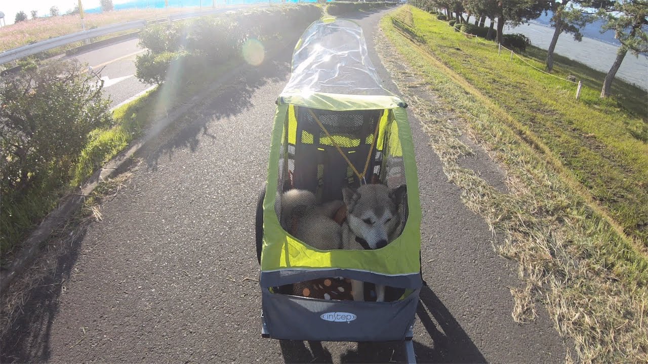 【ロードテスト🚴‍♀️】折り畳み自転車で琵琶湖を周遊し滋賀の美味しいものを食べる🐕🍽~Travel around Lake Biwa on a folding bike~