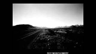 Video thumbnail of "Roy Montgomery -Gang of Four vs. Peter Frampton"