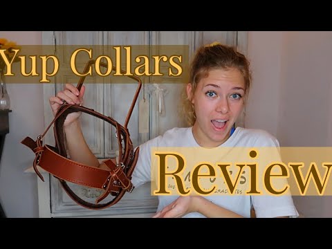 yup collars