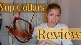 Yup Collars Harness review by Dallas The Service Doodle 2,415 views 3 years ago 7 minutes, 30 seconds