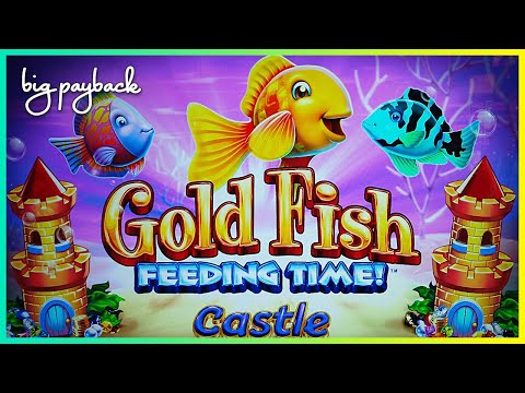 Ready for a BIG Win RETRIGGER? It's the NEW Gold Fish Slot!