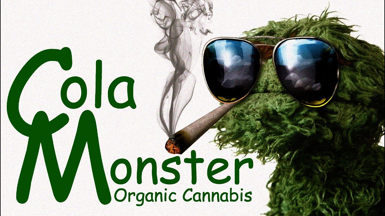 🌱🎤2021 Organic Jilly Bean & Silver Fox Winter Grow-Week 9 of Flowering/Pre-Harvest🎤🌱