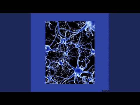 Richard Steven Socop — Take Me Out For A Walk