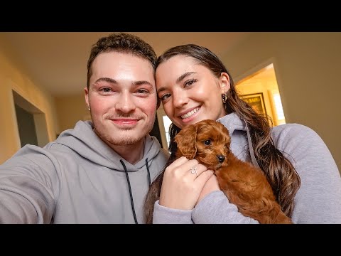 THE NEW PUPPY!
