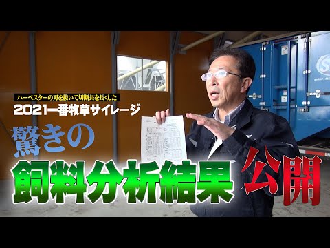 【驚きの飼料分析結果】切断長を長くした一番牧草の飼料分析結果報告書を公表【第215回】