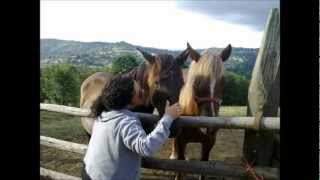 Video thumbnail of "Caballo místico - Silvio Rodríguez  / Interpreta Patricia Durán"