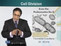 BIO201 Cell Biology Lecture No 38