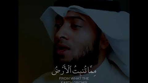 قرآن كريم بصوت القارئ احمد النفيس تلاوة خاشعة ارح قلبك 💚🌿حالة واتس اسلامية /ستوريات انستغرام