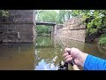 CREEK Fishing - Exploring a NEW Spot (LOADED with fish!)