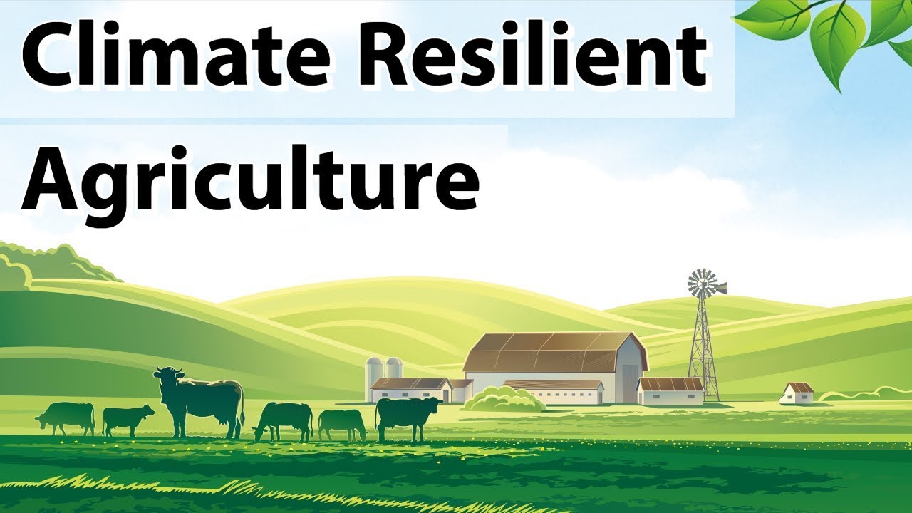 Climate Resilient Agriculture For Sustainable Growth Methods For