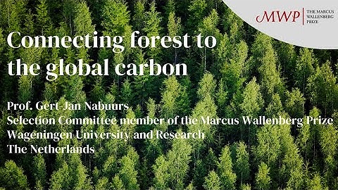 MWP Symposium 2021 - Prof. Gert-Jan Nabuurs