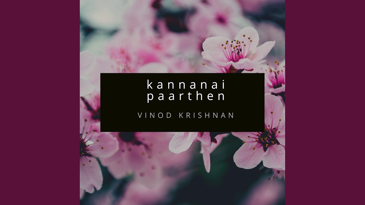 Kannanai Paarthen