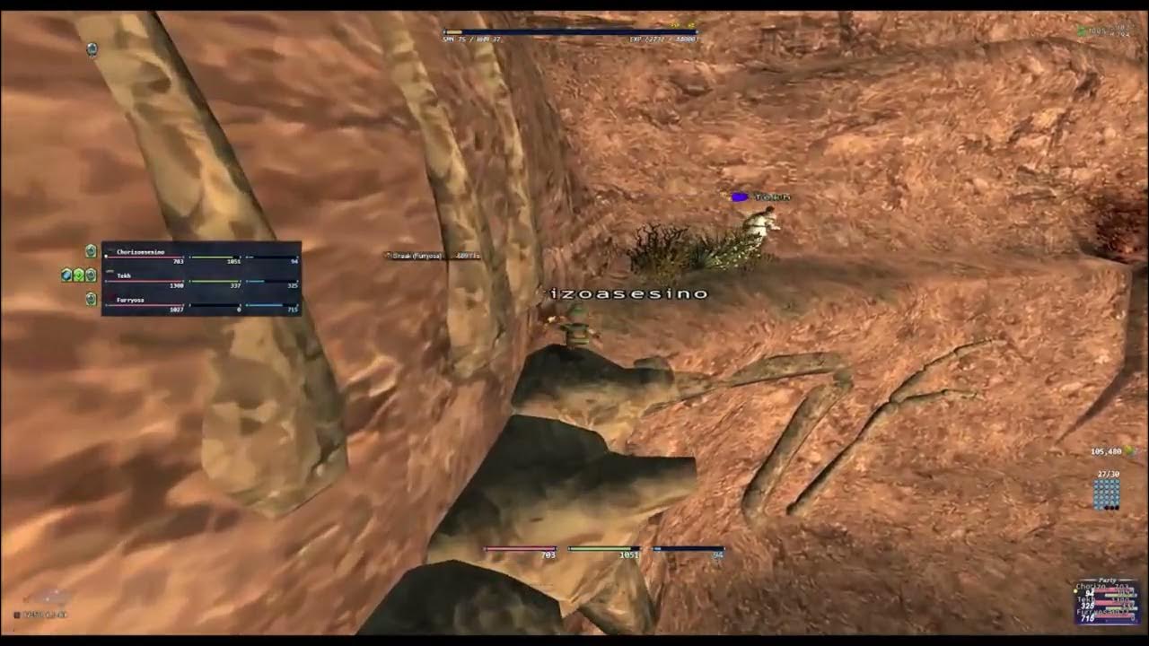 FFXI How to Climb the Mountain in Attohwa Chasm HORIZON YouTube