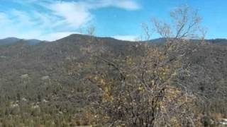 Real estate for sale in Oakhurst California - MLS# YG14062169