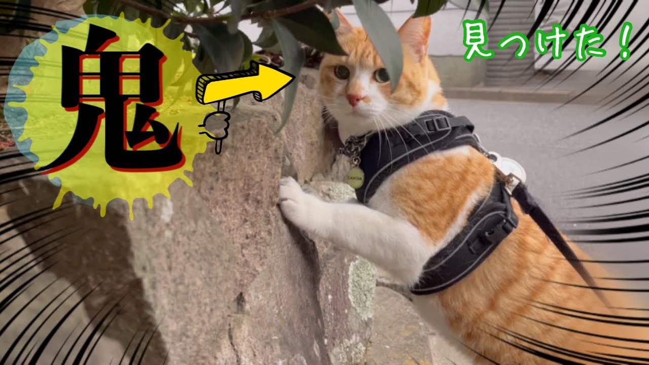 * vintage cat ❀ チリンとなる鈴と一緒 かわいいネコちゃん Amazon.co.jp: 【AAGWW】猫咪の鈴- 旅行時光シリーズ おもちゃの