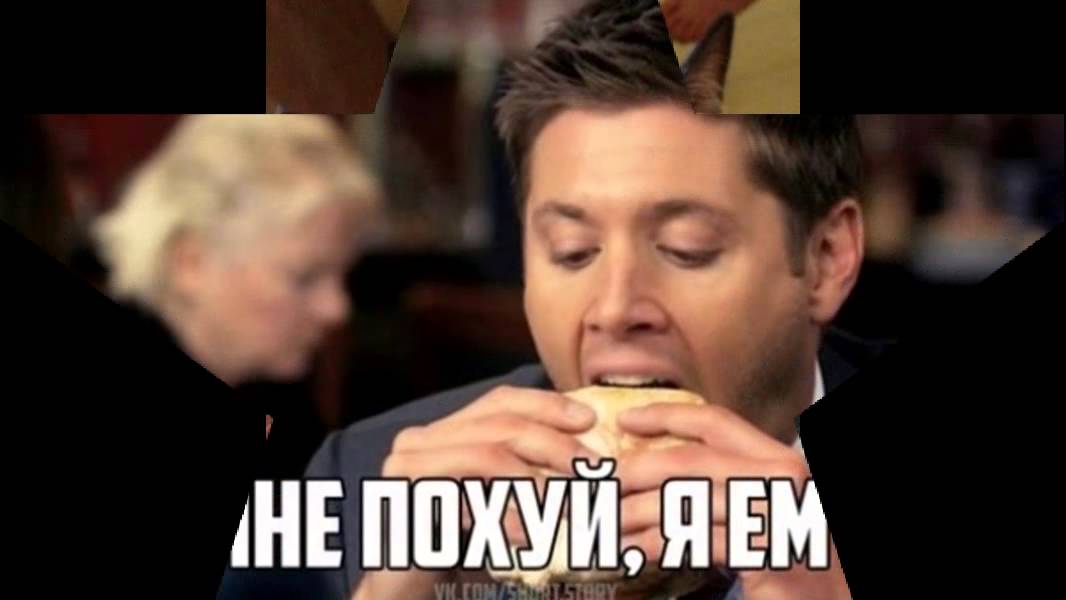 Фокси ди в машине Фокси ди в машине