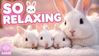 Cute Bunny & Babies ASMR 🐰 Fluffy Cushion Sounds for Deep Sleep & Relaxation screenshot 3