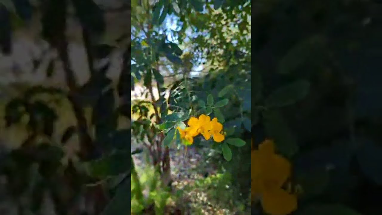 tin tức đặc biệt 2 🥰 tính hợp pháp ^⁠_⁠^