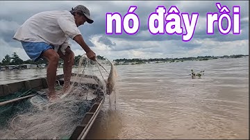 Bậc Thầy Giăng Câu Chuyển Qua Giăng Lưới Thu Phục Cá Ba Sa # SĂN BẮT ĐỒNG THÁP #