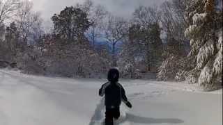 Nor'Easter Nemo